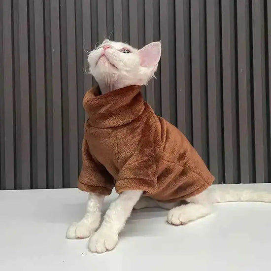 "Fashionable Clothing for Hairless Cats"