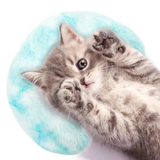 AYAWOW Pillow for Cats Soft Fluffy Cat Neck Pillow or Small Dogs