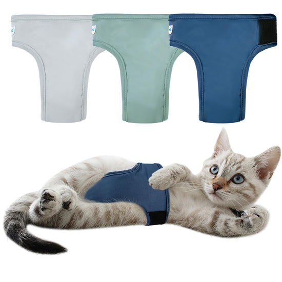 Cat Diapers for Male Cats Spraying Washable Reusable in multiple colors with a playful cat modeling one.