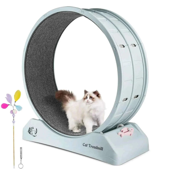 Primachen Cat Exercise Wheel for Indoor Cats 31.5" Cat Treadmill with Brake