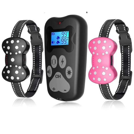 Shock Collar for 2 Dogs Rechargeable Electric Dog Training Collar
hock collars

rechargeable

dogs

dog collar

dog

collars

collar

adjustable dog shock collar

remote dog training collar

rechargeable dog collar

shock collar for 2 dogs

electric dog training collar

long range dog training collar

anti-bark dog collar

vibration dog collar

safe dog training device

dual dog training collar

humane dog shock collar

wireless dog training system

dog obedience training collar

